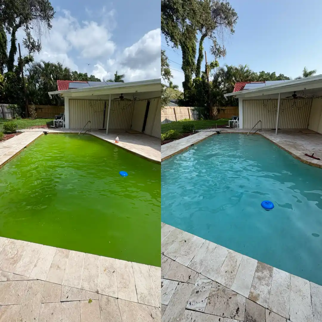 St. Petersburg Remove Algae Pool Services